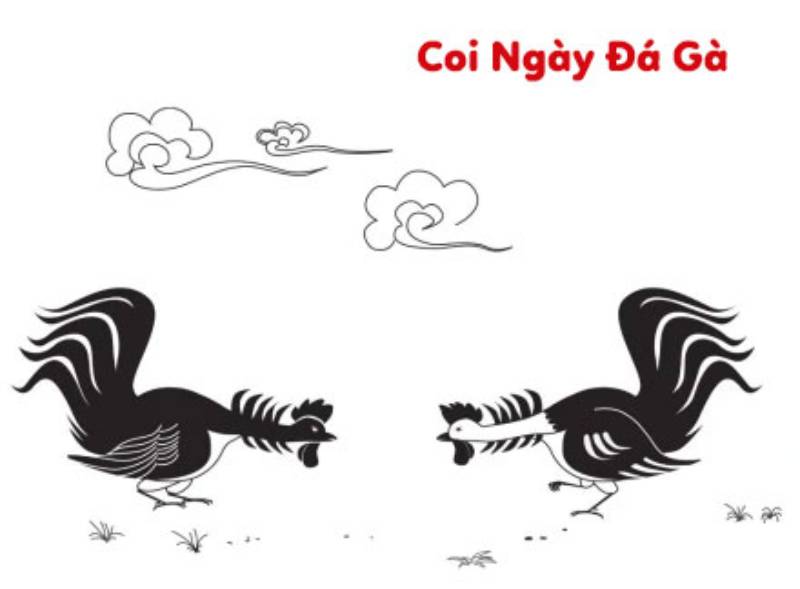 Cách chọn ngày đẹp theo màu mạng gà