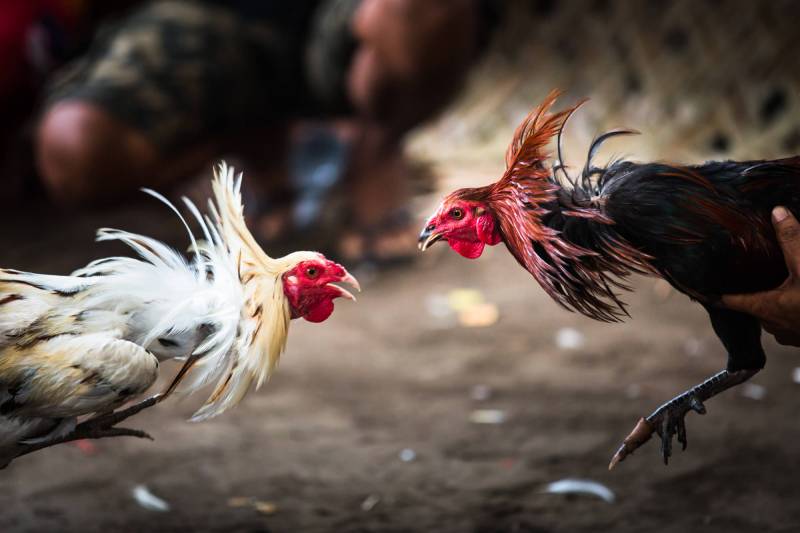 Trận đấu kéo dài và quyết định thắng – thua rõ ràng